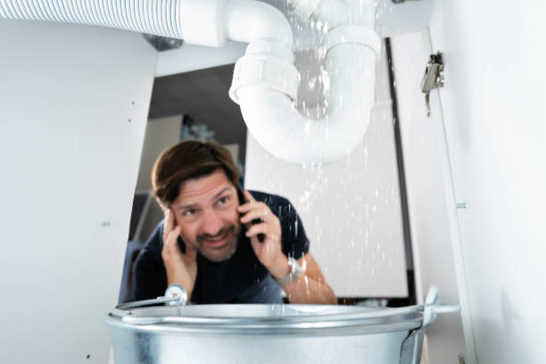 Best Local Plumber Services  in North Ridgeville, OH